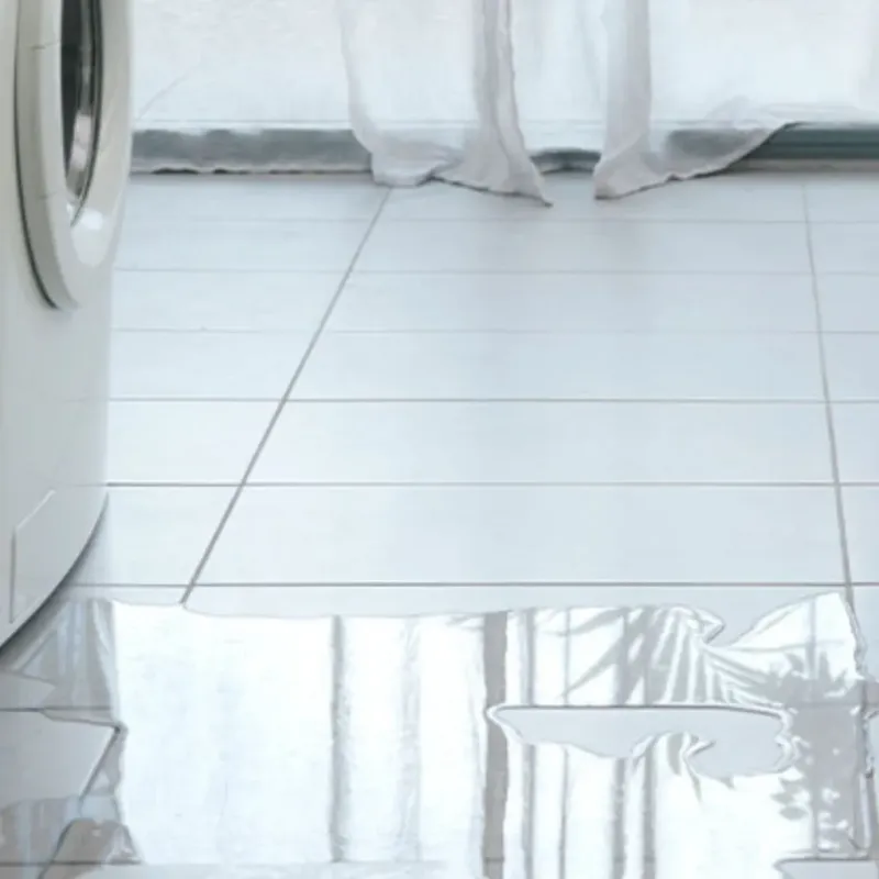 Appliance Leak Cleanup in Leesburg, OH