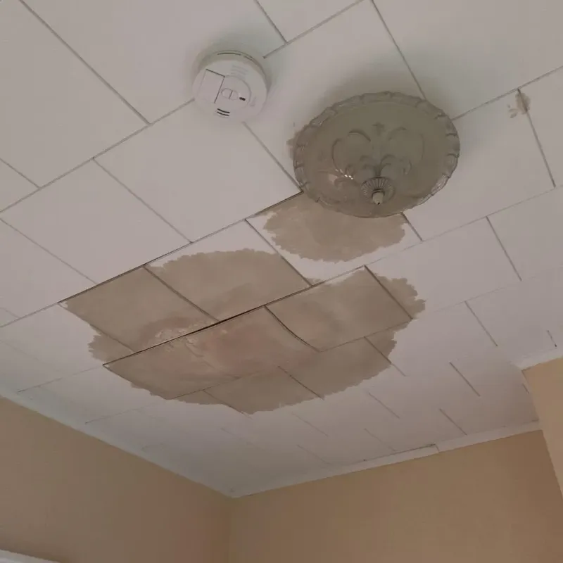 Ceiling Water Damage Repair in Leesburg, OH