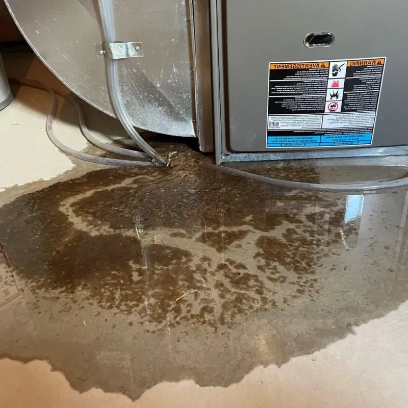 Pipe Burst and Leak Restoration in Leesburg, OH