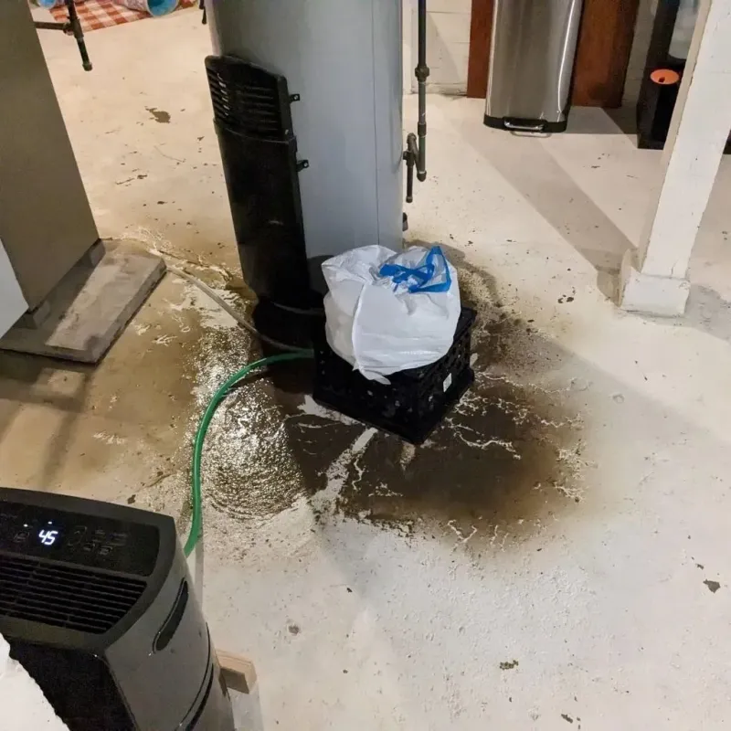 Sewage Backup Cleanup Service in Leesburg, OH